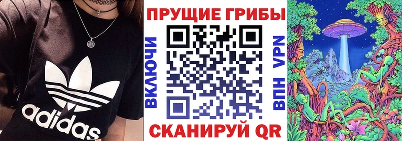 где можно купить наркотик  Александров  KRAKEN tor  Псилоцибиновые грибы Psilocybe 