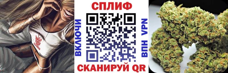 Конопля MAZAR Александров
